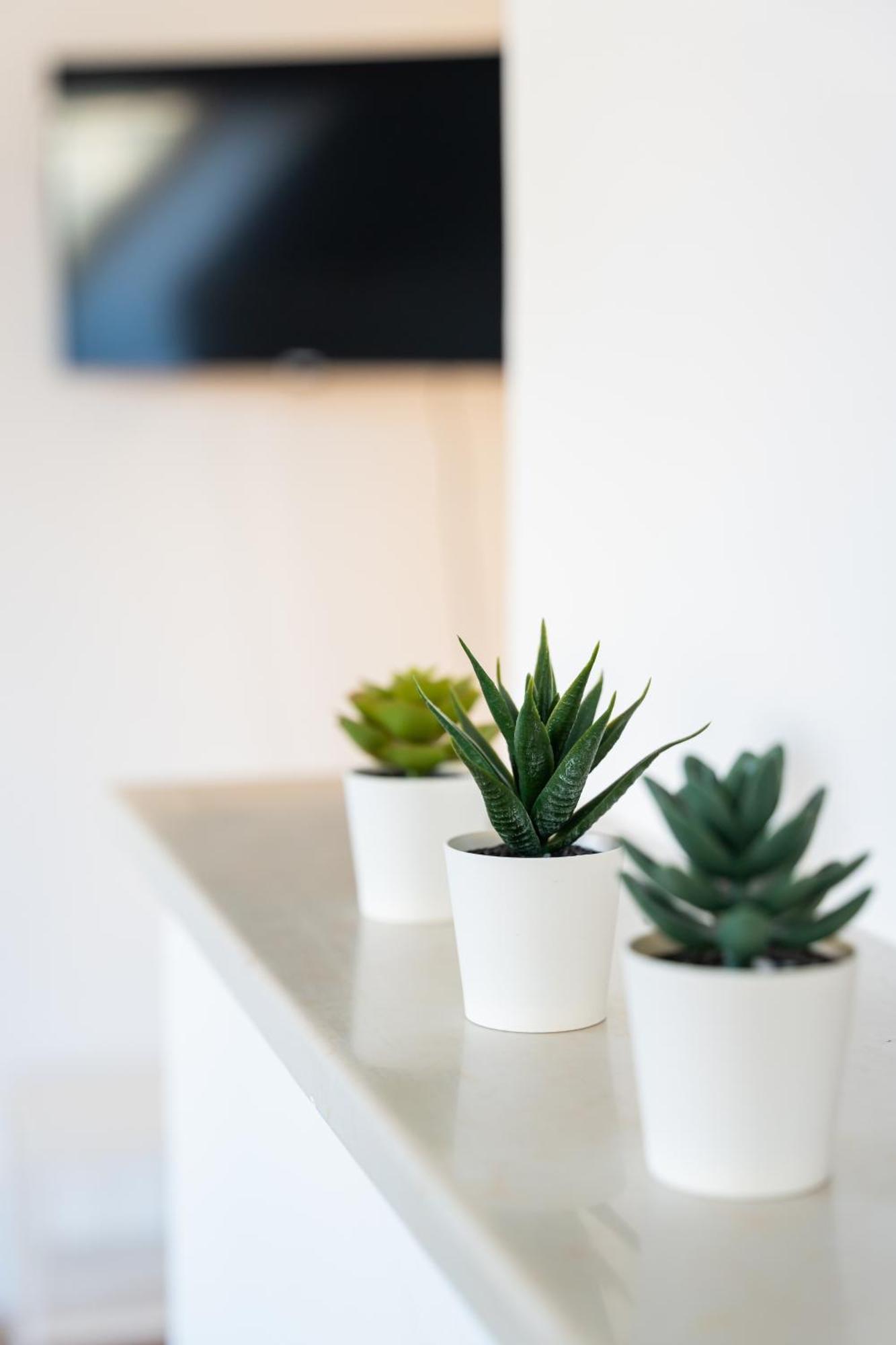 Luxury Penthouse - Augarten Vienna Esterno foto